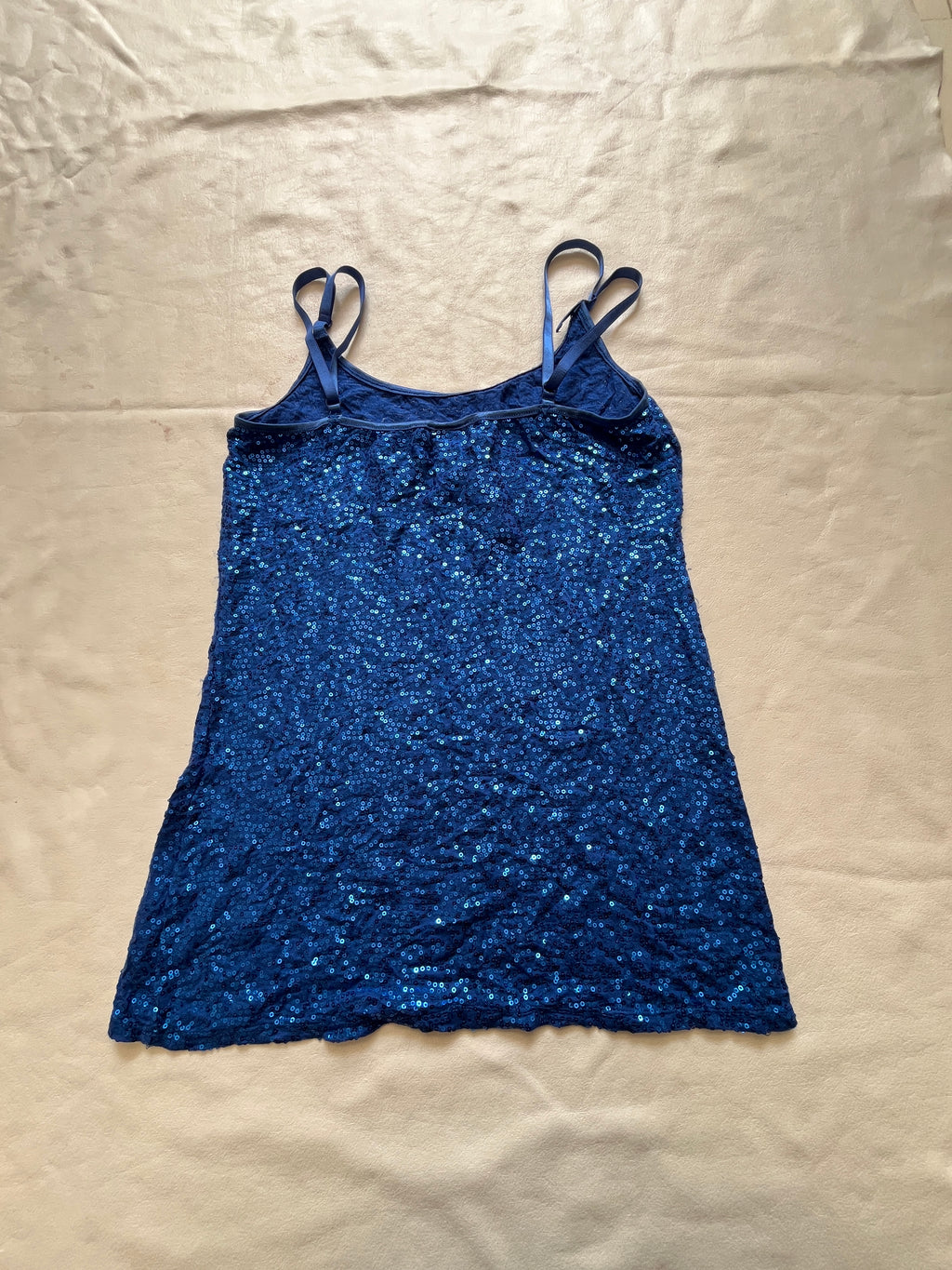 Sapphire Sequin Slip reference photo