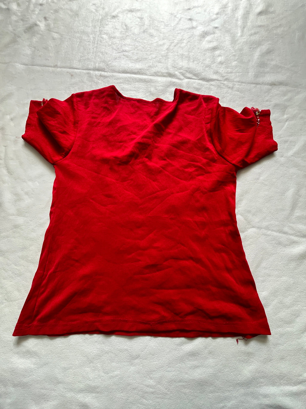 Ruby Embroidered Muse reference photo
